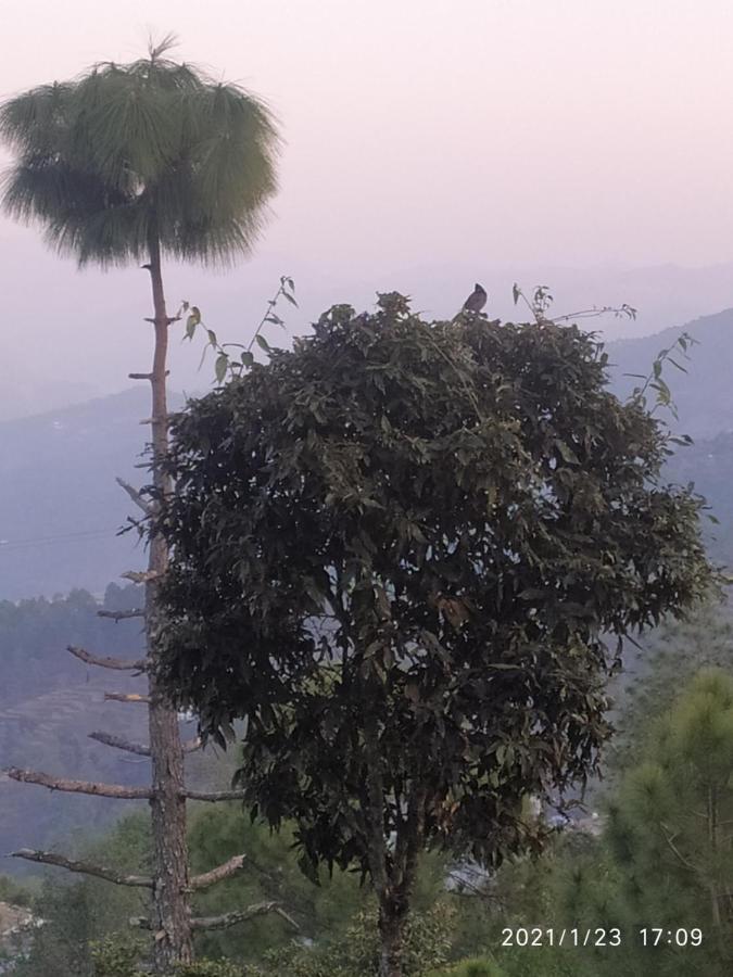 Mangalmurti Himalyan Homestay Hawalbagh Exterior foto